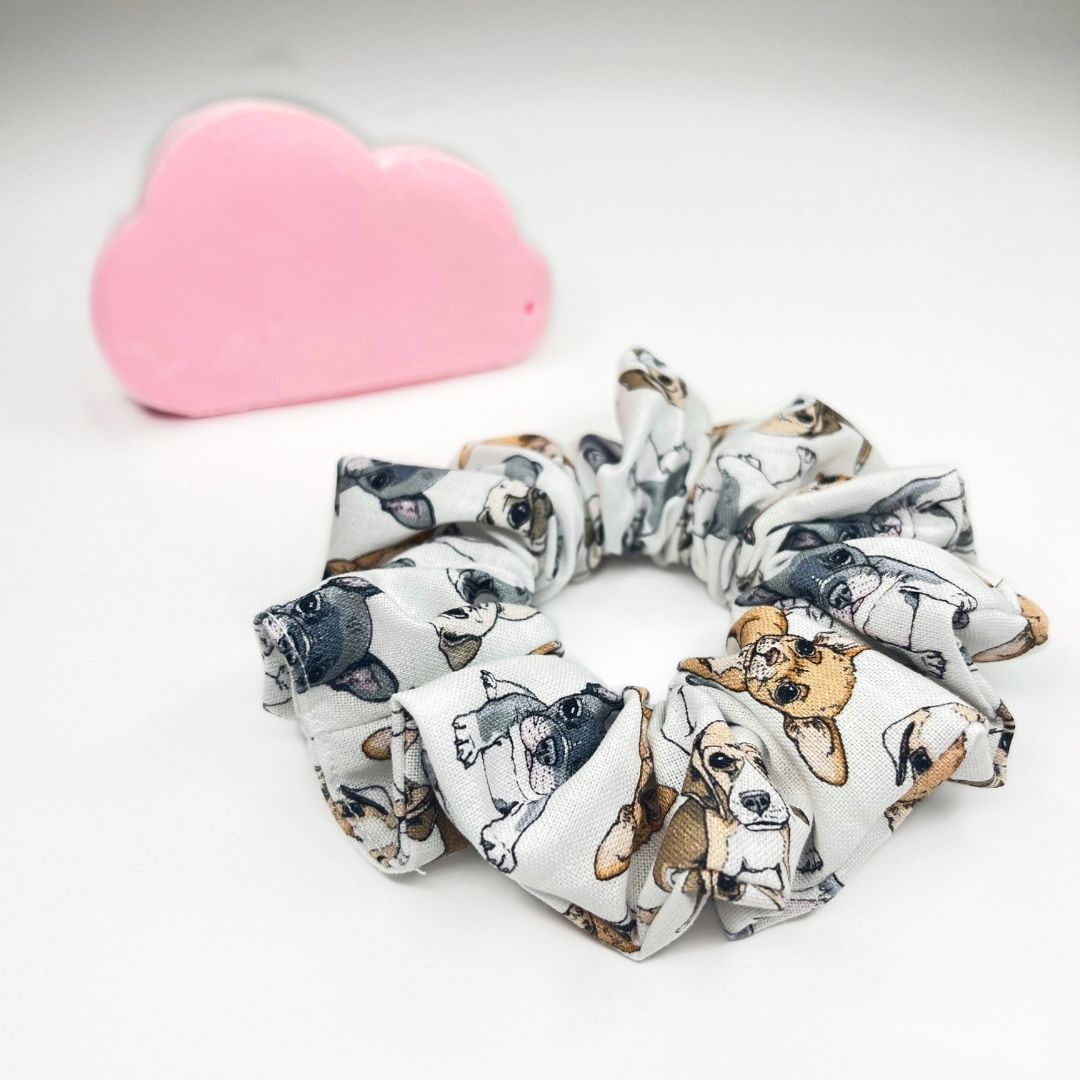 Dog scrunchie.