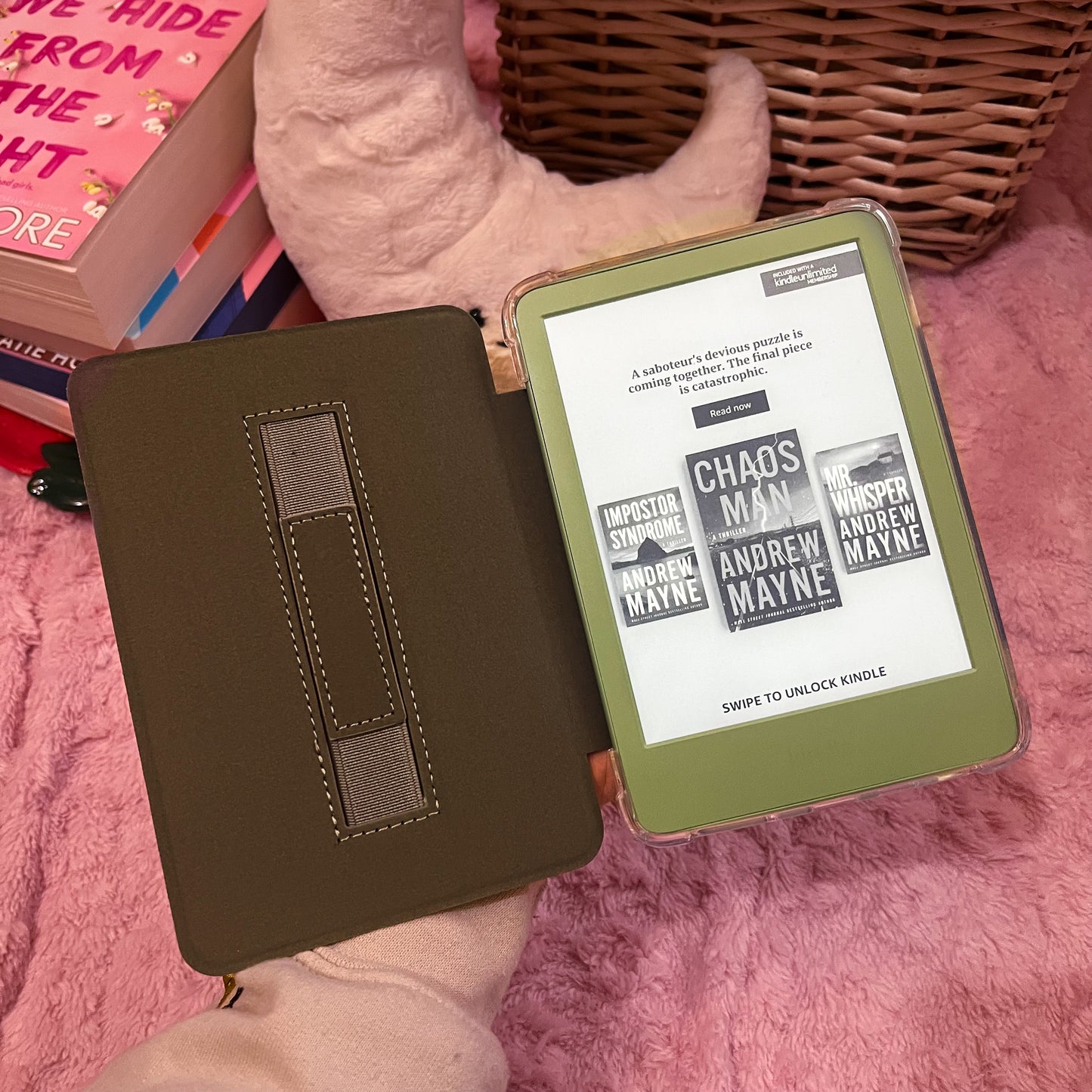 Spring Kindle Case