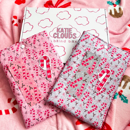 Christmas Book Sleeve Blind Box