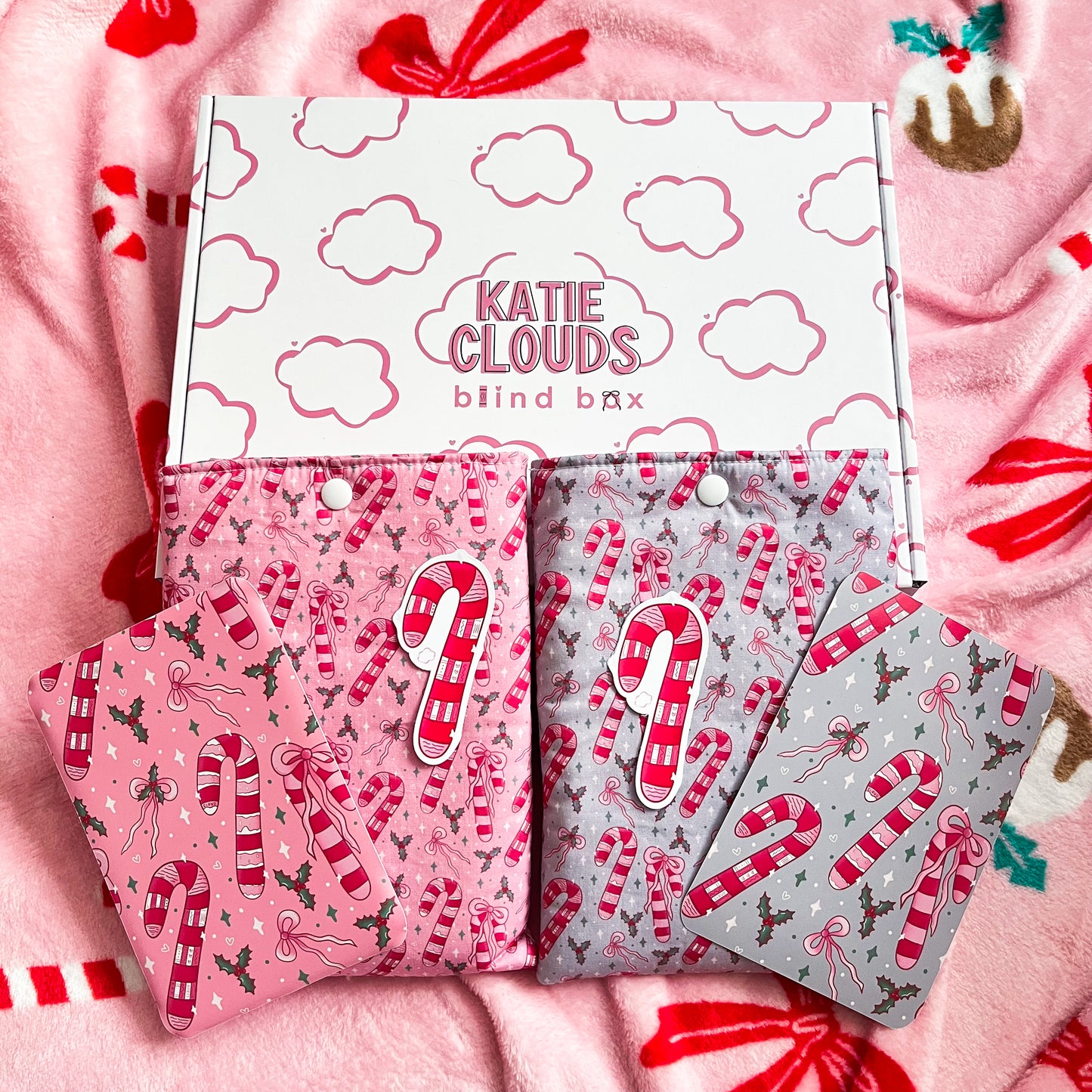 Christmas Kindle Sleeve Blind Box